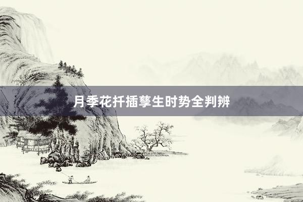 月季花扦插孳生时势全判辨