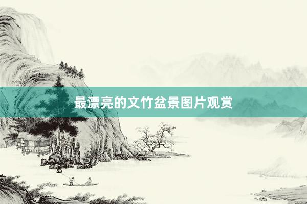 最漂亮的文竹盆景图片观赏