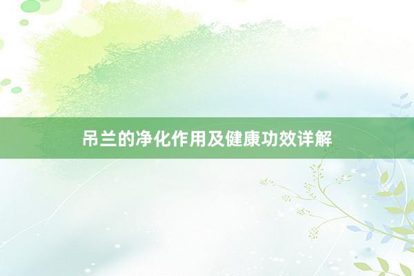 吊兰的净化作用及健康功效详解