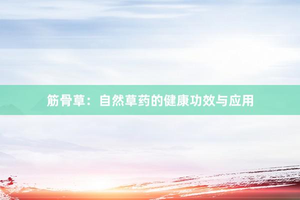 筋骨草：自然草药的健康功效与应用