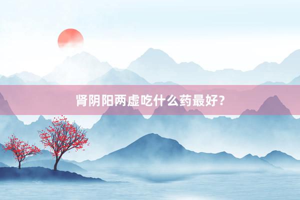 肾阴阳两虚吃什么药最好？