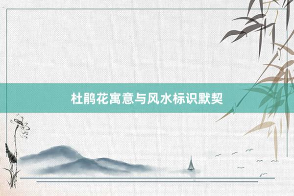 杜鹃花寓意与风水标识默契